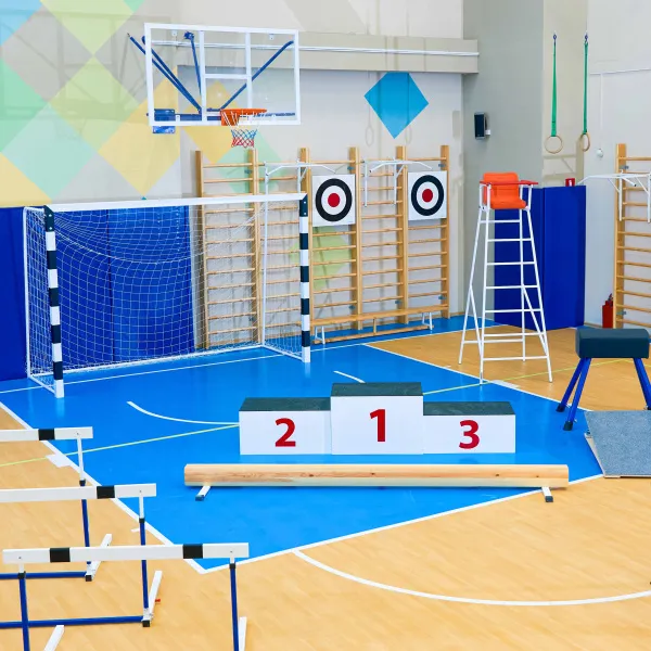 Щит для метания навесной на шведскую стенку (фанера) 700х700 ZAVODSPORTA за 8&nbsp;960 ₽ в Липецке