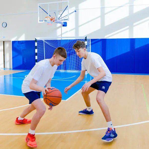 Щит баскетбольный игровой (монолитный поликарбонат) 1050х1800 мм ZAVODSPORTA за 47&nbsp;600 ₽ в Липецке